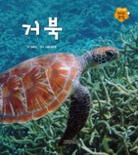거북 (알기쉬운 자연관찰 17)